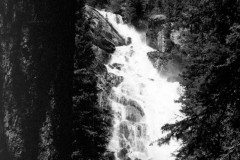GTNP_BW21