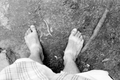GTNP_BW22