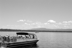 GTNP_BW24