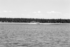 GTNP_BW29