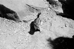 GTNP_BW3
