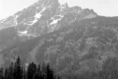 GTNP_BW32