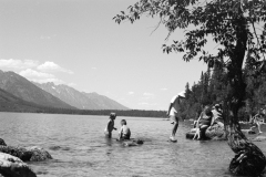 GTNP_BW33