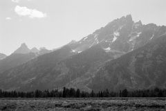 GTNP_BW34