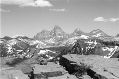 GTNP_BW4