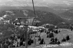 GTNP_BW8