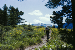 GTNP_Color12