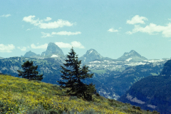 GTNP_Color14