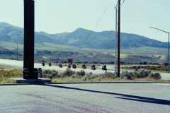 GTNP_Color29