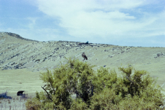 GTNP_Color332